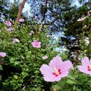 홍주의사총 | 김좌진 장군 생가지 홍성 가볼 만한 곳