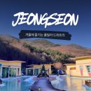 드위트리 풀빌라펜션 & 카라반가든 | [공지] 강원도 정선 가볼만한 곳 ｜드위트리 풀빌라 펜션 겨울 방문 후기!