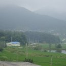 월전초등학교 이미지