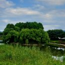 장자호수공원 이미지