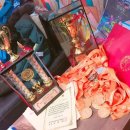 힘찬합기도 이미지