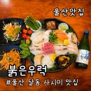 우럭만 - 부산진구 엄광로 59 | 울산 달동 모듬회 맛집 붉은우럭 솔직후기