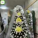 고려대학교구로병원 이미지