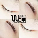 와우뷰티&브로우 이미지