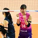 흥국생명 이미지