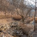 자연속에서-산 | [기자단] 음성군 자연 속 힐링 여행, 큰산자생식물원 산책 후기