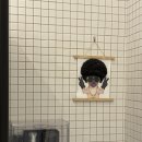 아지트댕댕 이미지