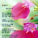 봉숭아