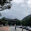 명산 당구장 | 100대 명산-설악산 토왕성폭포 전망대, 점봉산 곰배령 숲속 산책길(18)