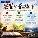 주보표짖 이미지