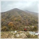 별천지 펜션 | 가을 단풍구경 명소 경남 밀양 배내골 별천지 펜션 숙박 후기