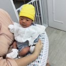 유준넷