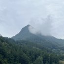 박물관횟집 | 울릉도 여행 - 4일차(신비섬횟집|독도박물관|천금수산독도새우|내수전몽돌해변)