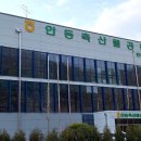 안동봉화축협 안동축산물공판장 이미지