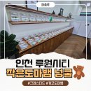 넝쿨 | 인천 루원시티 작은도마뱀 넝쿨 다녀온 생생 후기