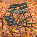 (주)자리 이미지