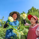 오선농장 이미지