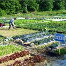 예천농장 이미지