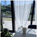 낙원 스테이 이미지