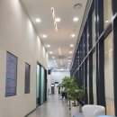 디딤돌결혼정보 이미지