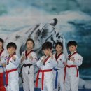 백호태권도 이미지