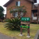 스카이힐비즈니스관광호텔 이미지