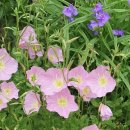 선우 행정사 이미지