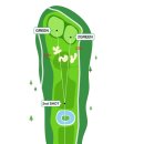 신안 퍼블릭 CC 이미지