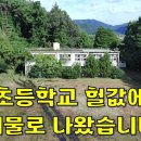 초등학교도 더는 못 버티고 헐값에 매물로 나왔습니다~땅3670평+교사+관사+샤워장[땅지통] 이미지