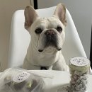 두즈파크 이미지