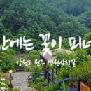 산에는꽃이피네 - 25125 | 산에는꽃이피네