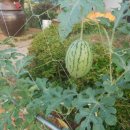 옹기문화의 집 이미지