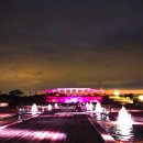 후꾸오까 여행(4)... 우미노나카미치 해변공원(海の中道海浜公園)의 아름다웠던 튤립 이미지