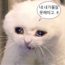 컴토피아인터넷PC게임방 | 나도 알고 싶지 않았던 지갑 분실 후기