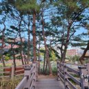 본촌슈퍼 이미지