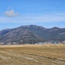 화흥초등학교 이미지