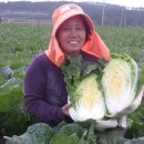 효영농장 이미지