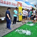2013년 11회 화천 토마토축제(2013 Hwacheon Tomato Festival) 후기
