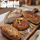 송*의 | 전주 빵지순례 필수코스 송해븐 배송후기 인생 감자치아바타를 만나다 (ft. 아이 간식 추천)
