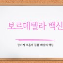 강아지 켄넬 이미지