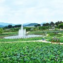 (주)한마음여행사