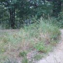 마봉재보루 이미지