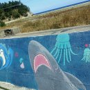 부구시장 이미지