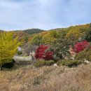 라 까시나 이태리 이미지