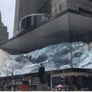 디자인디스트릭트 이미지