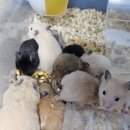 매산리 538 이미지