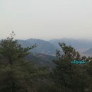 신곡농장 Daum카페