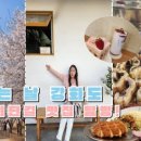 해병장어