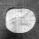 기장i동물의료센터 이미지