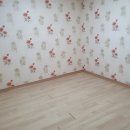 조은펜션숙박 이미지